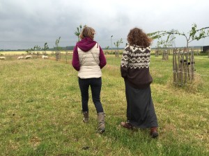Wandelend coachen